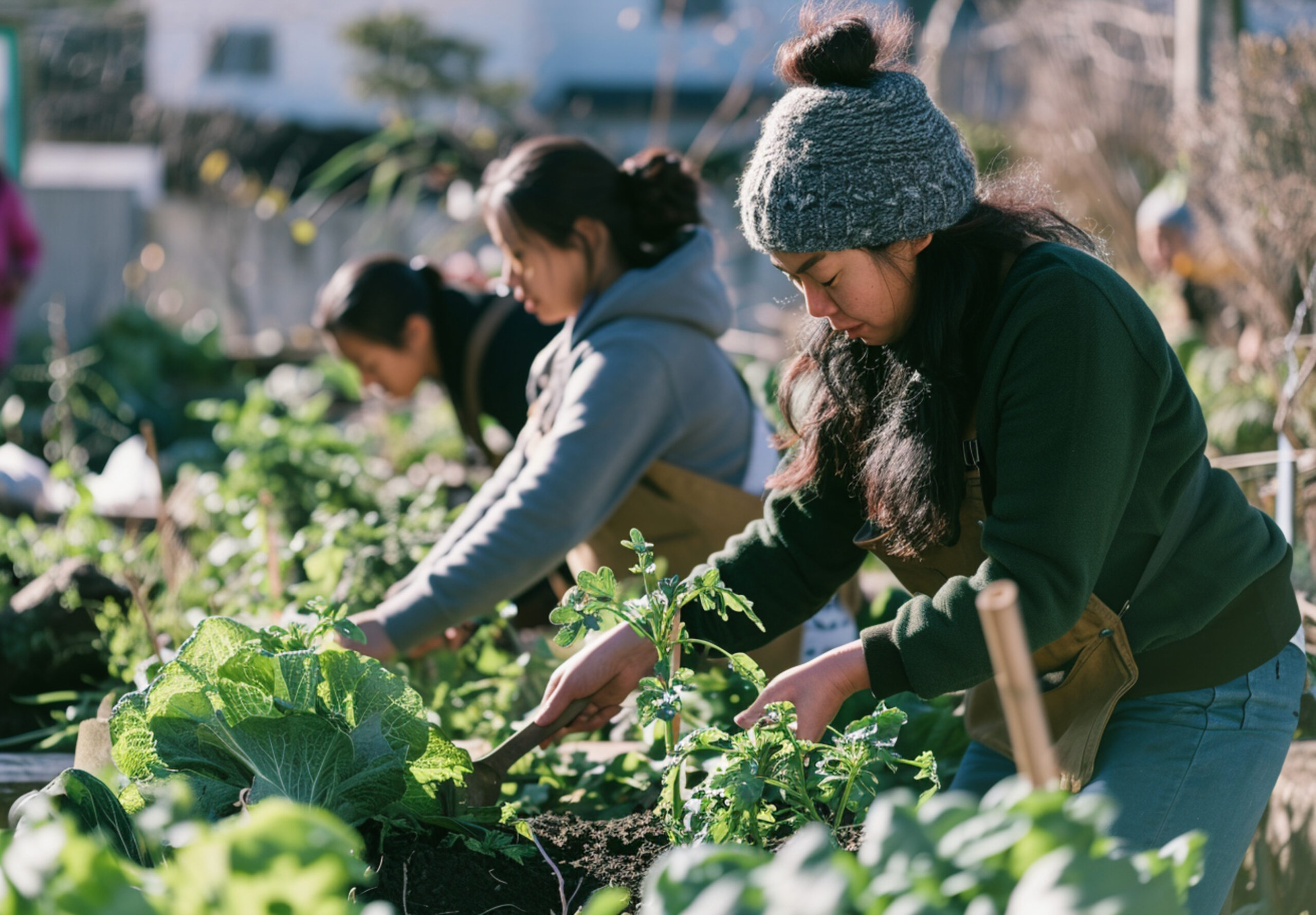 Personas trabajando en conjunto en una huerta comunitaria, cultivando vegetales en un entorno urbano con herramientas de mano.